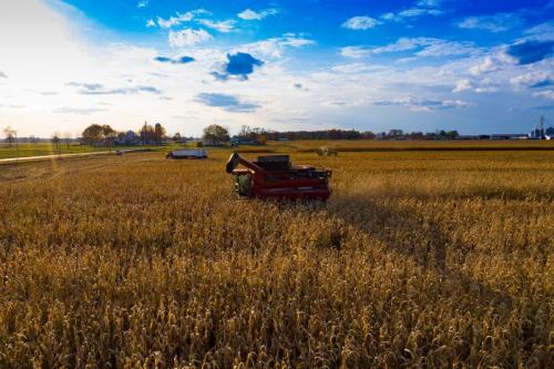 Harvest Time in Ohio